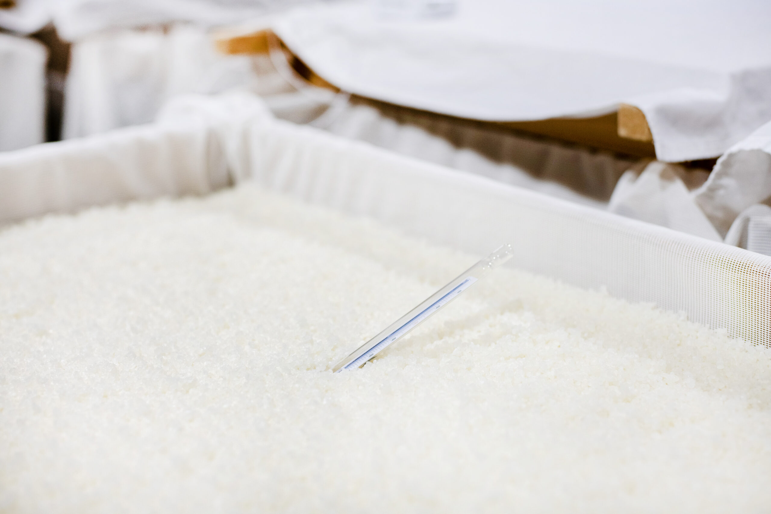 日本酒造りの風景_8