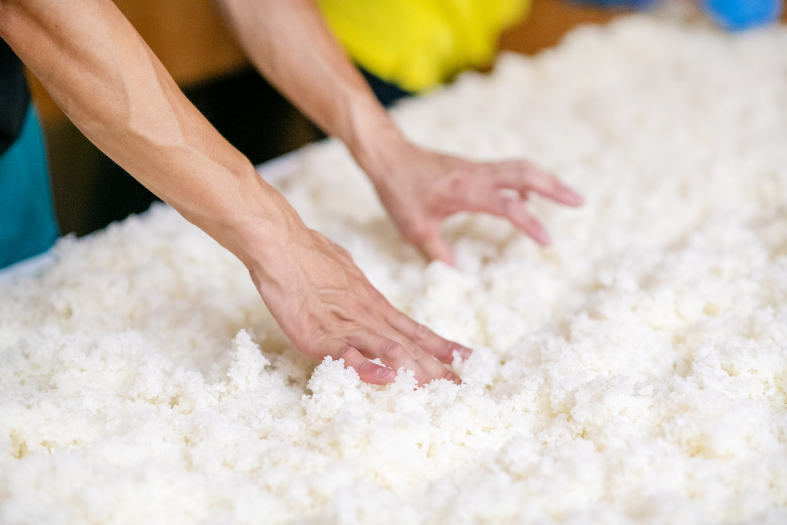 日本酒造りの風景_4